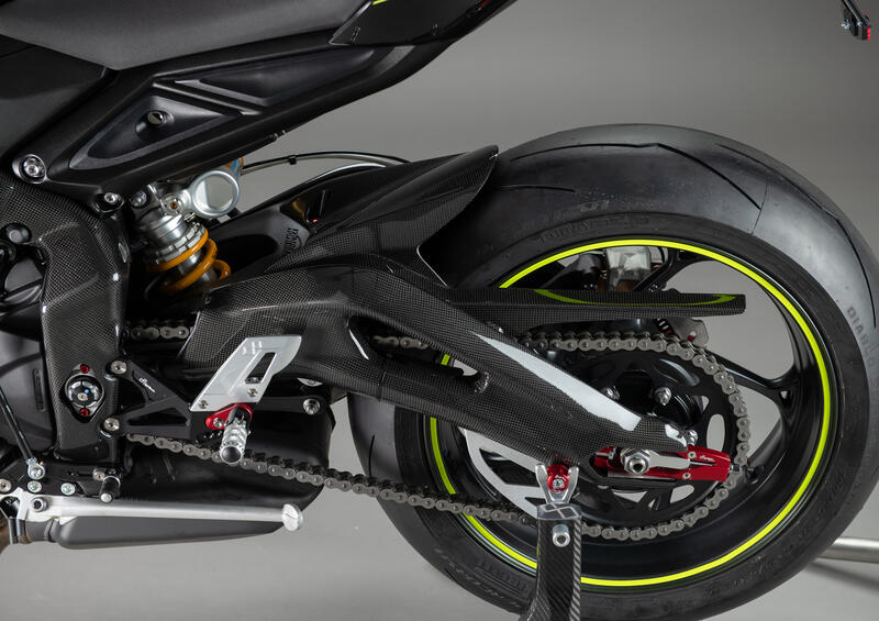 Carbon Arm Protections (Pair) for Triumph Lucido